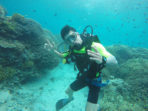 Festival Bunaken Tarik Wisman, Ini Kegiatannya