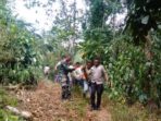 Tersengat Lebah, Petani Koha Ditemukan Tewas di Perkebuhan