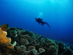 Taman Nasional Bunaken Ditutup