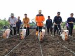 Launching Gerakan Manado Ba Kobong, Walikota GSVL Pimpin Tanam Jagung