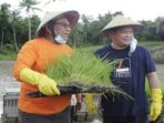 Berdayakan Warga, Bupati E2L Siapkan Bantuan Sosial Tunai Bagi Yang Berkebun