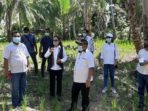 Wabup Parapaga Tinjau Lahan Pertanian dan Pembangunan Kantor Sinode Germita