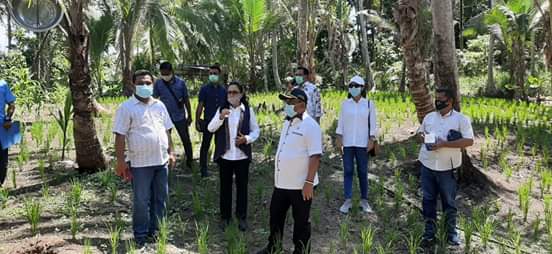 Wabup Parapaga Tinjau Lahan Pertanian dan Pembangunan Kantor Sinode Germita