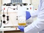 Kemenristek Lakukan Riset Terhadap Convalescent Plasma