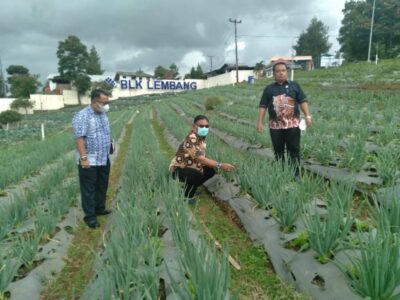 Wabup Talaud Tinjau Lokasi Sub Kerja BLK