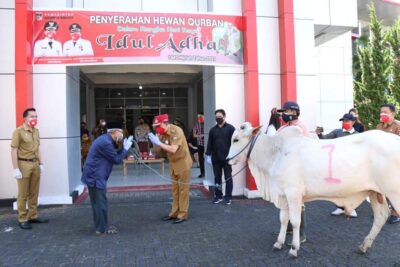 Bersama Forkopimda, Bupati-Wabup Minahasa Serahkan Hewan Kurban untuk 34 Masjid