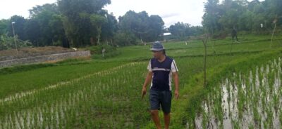 RELI MONDE, Sosok Petani Sederhana yang Terpanggil Memajukan Desa Rumengkor Induk