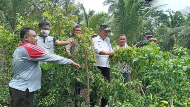 Pertanian Harus Berorientasi Pasar