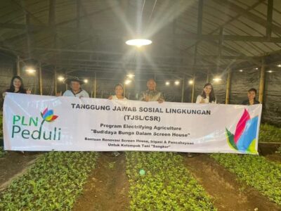 Bunga Krisan Makin Mekar dengan Cahaya Listrik, Bukti Dukungan dan Terobosan Brilian PLN untuk TIFF