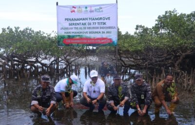 Peringati Hari Mangrove Sedunia, Dukungan PLN Kepada TNI AL Cetak Rekor Dunia