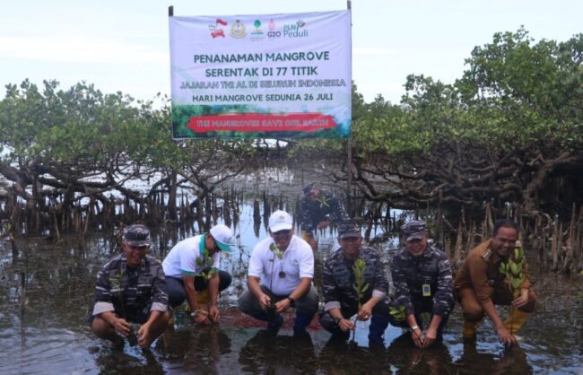 Peringati Hari Mangrove Sedunia, Dukungan PLN Kepada TNI AL Cetak Rekor Dunia