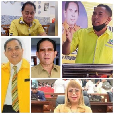 Puji Kepemimpinan Adrie Kamasi, Pengamat Ini Yakin Golkar Bisa Kembali Berjaya di Pileg Jika Didukung Hal Ini