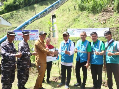 PLN Tanam 35 Ribu Bibit Pohon di 3 Provinsi, Bukti Komitmen Lestarikan Alam