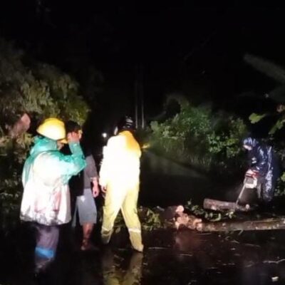 PLN Berhasil Pulihkan 100 Persen Kelistrikan Terdampak Cuaca Ekstrem di Kabupaten Kepulauan Sangihe