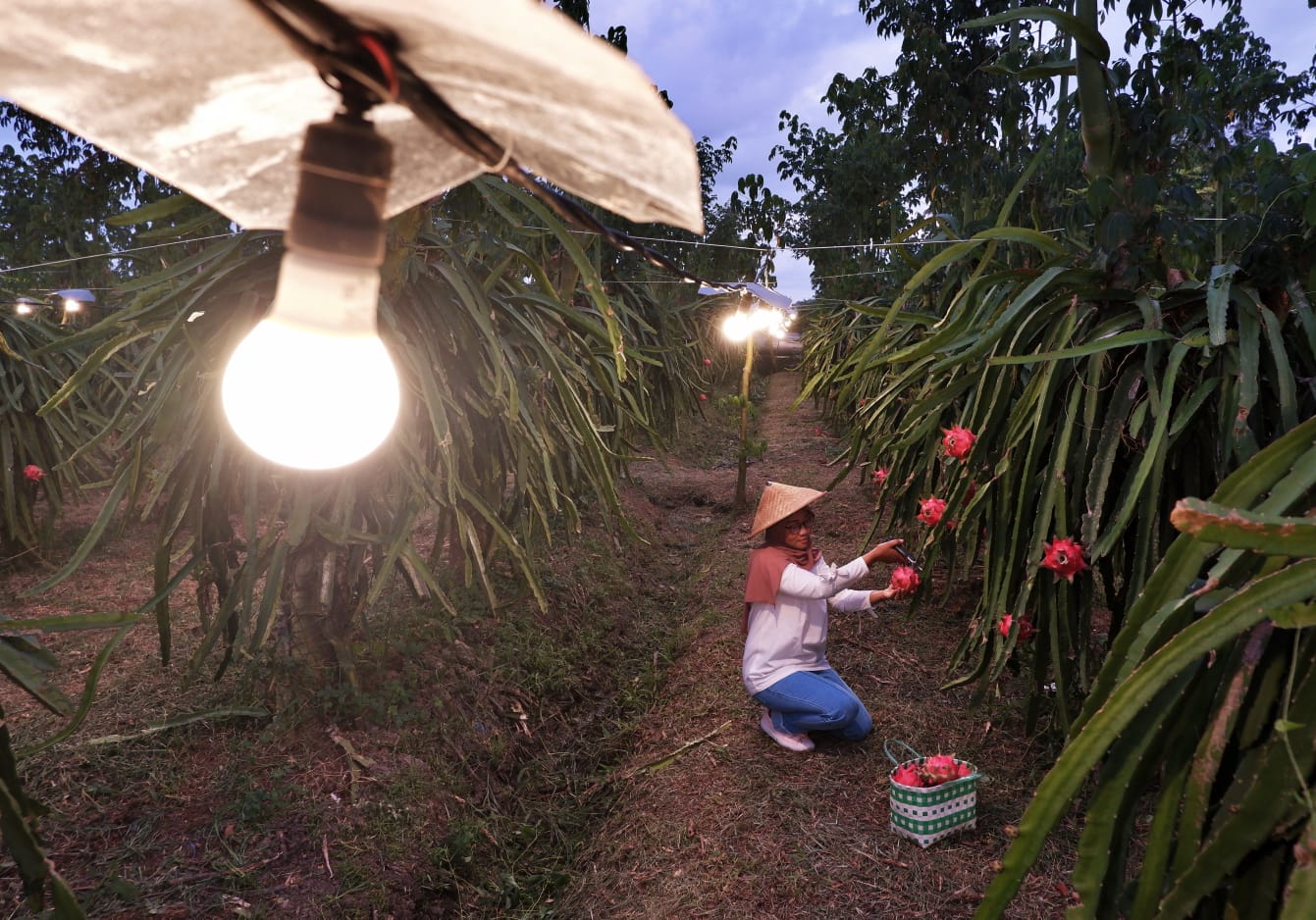 Dirut PLN Dorong Inovasi Listrik Jadi Sumber Energi Murah