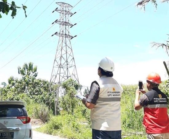 PLN Berikan Listrik Andal Lewat Program Tertibkan Pohon Tanpa Merusak Jalur Hijau Perkotaan