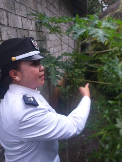 Usai Dilantik, Detty Rambing Langsung Kerja Meski Diguyur Hujan, Ini Yang Dilakukan