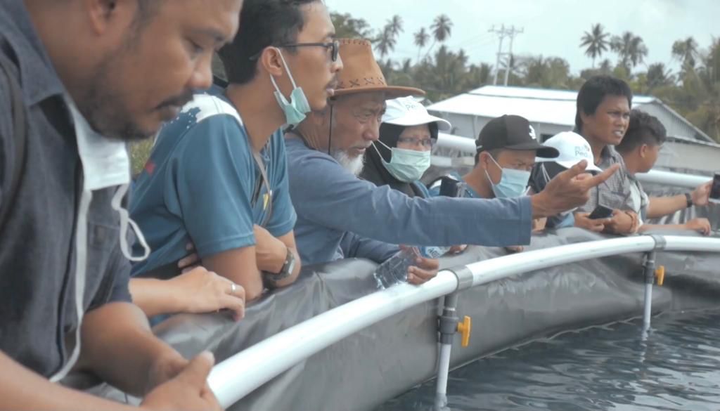 Jalin Kolaborasi Dengan Pemprov Sulteng, PLN Dorong Pertumbuhan Sektor Perikanan