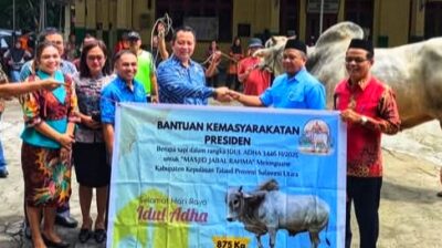 Idul Adha 2025, Umat Muslim Talaud Dapat Delapan Ekor Sapi dari Presiden dan Pemerintah Daerah